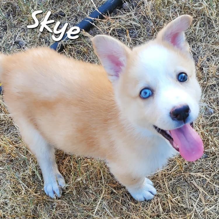 Skye