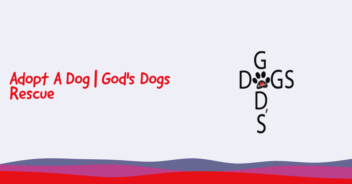 Adopt A Dog | God's Dogs Rescue