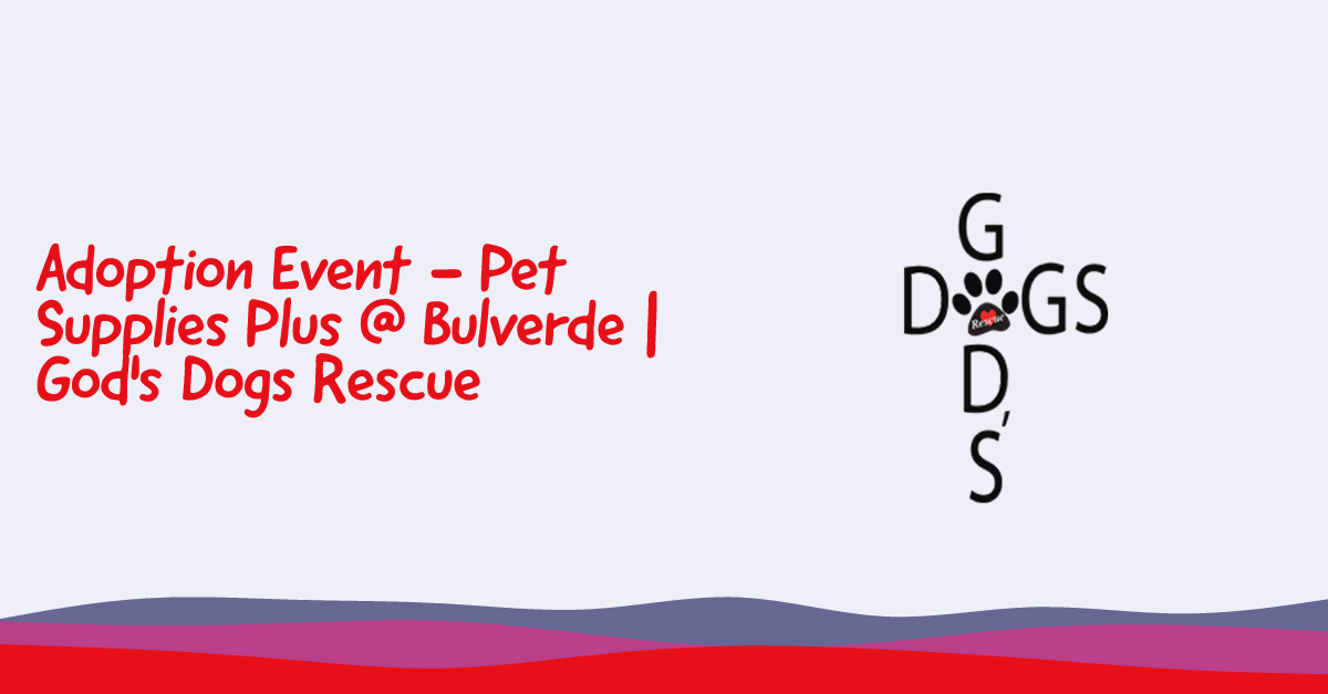 Adoption Event - Pet Supplies Plus @ Bulverde | God's Dogs Rescue