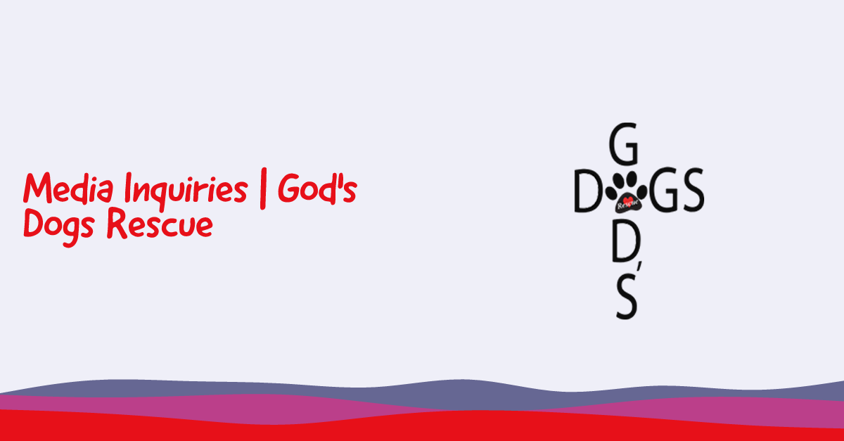 Media Inquiries | God's Dogs Rescue