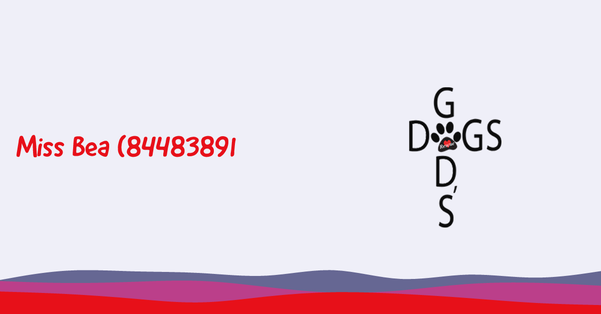 Miss Bea (84483891) | God's Dogs Rescue